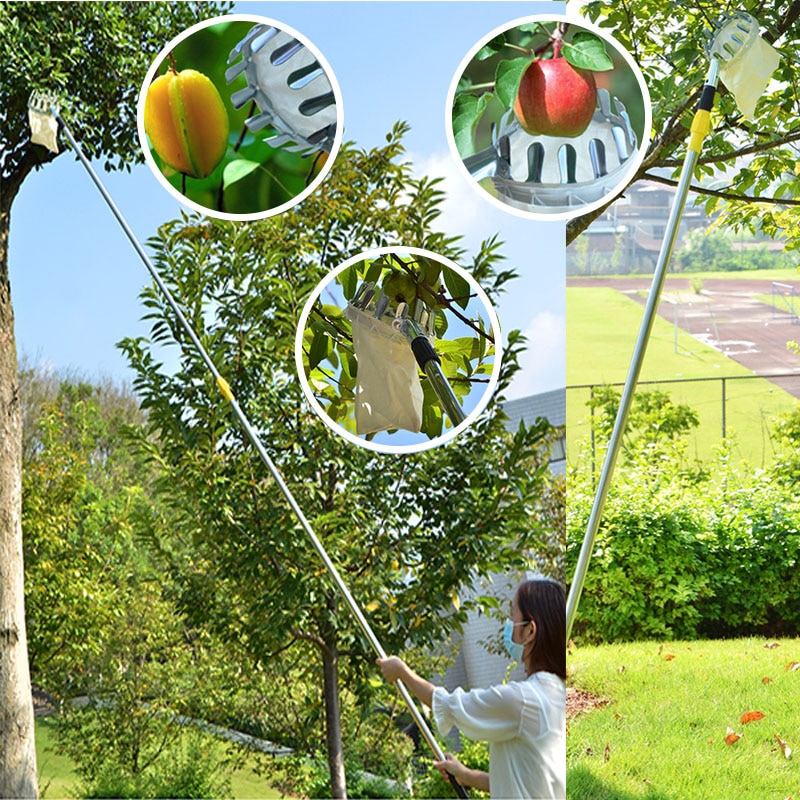 stainless steel orchard high branch harvesting tool can extend the handle for orchard picking fruit picker