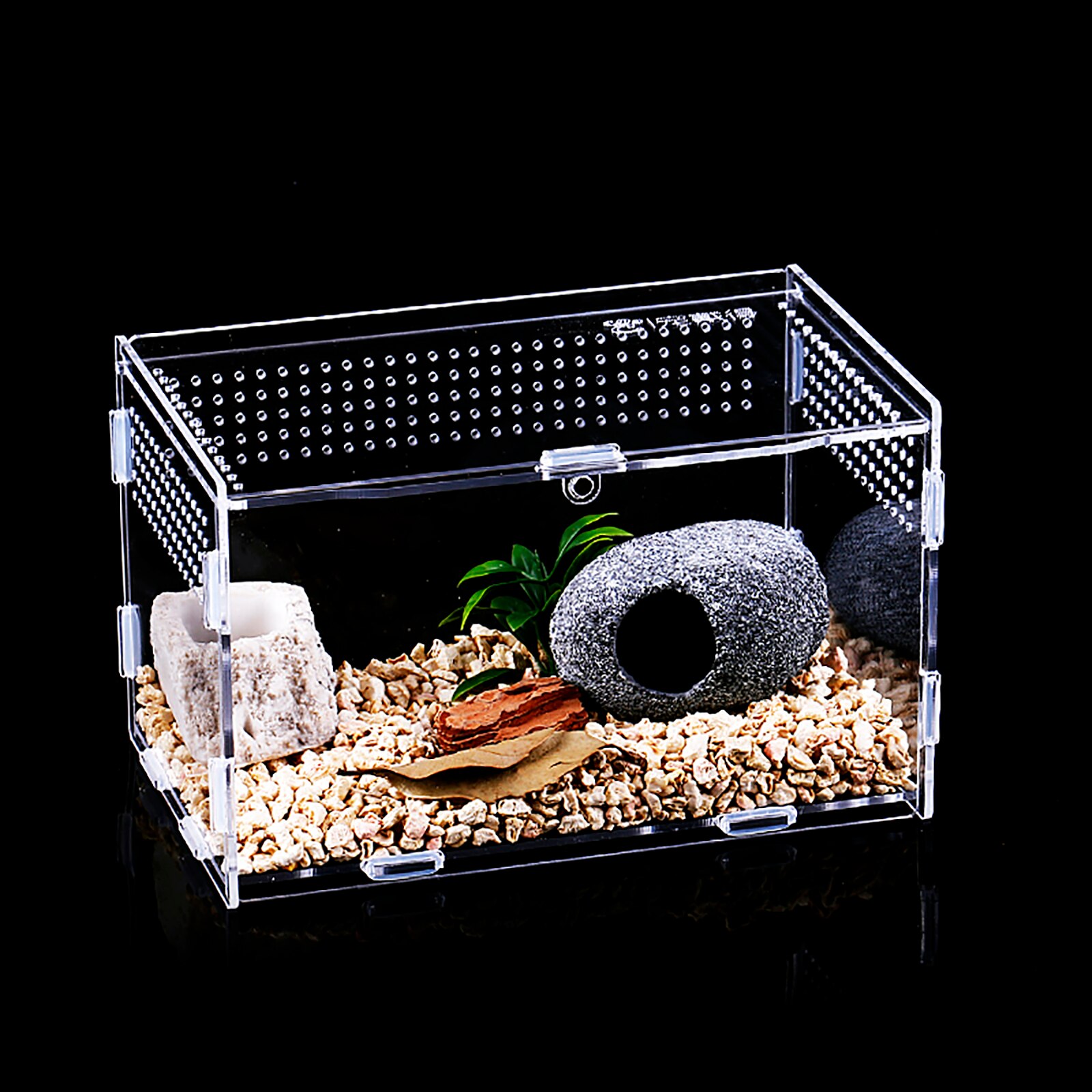 Transparent Acrylic Breeding Box Feeding Insect Br... – Grandado