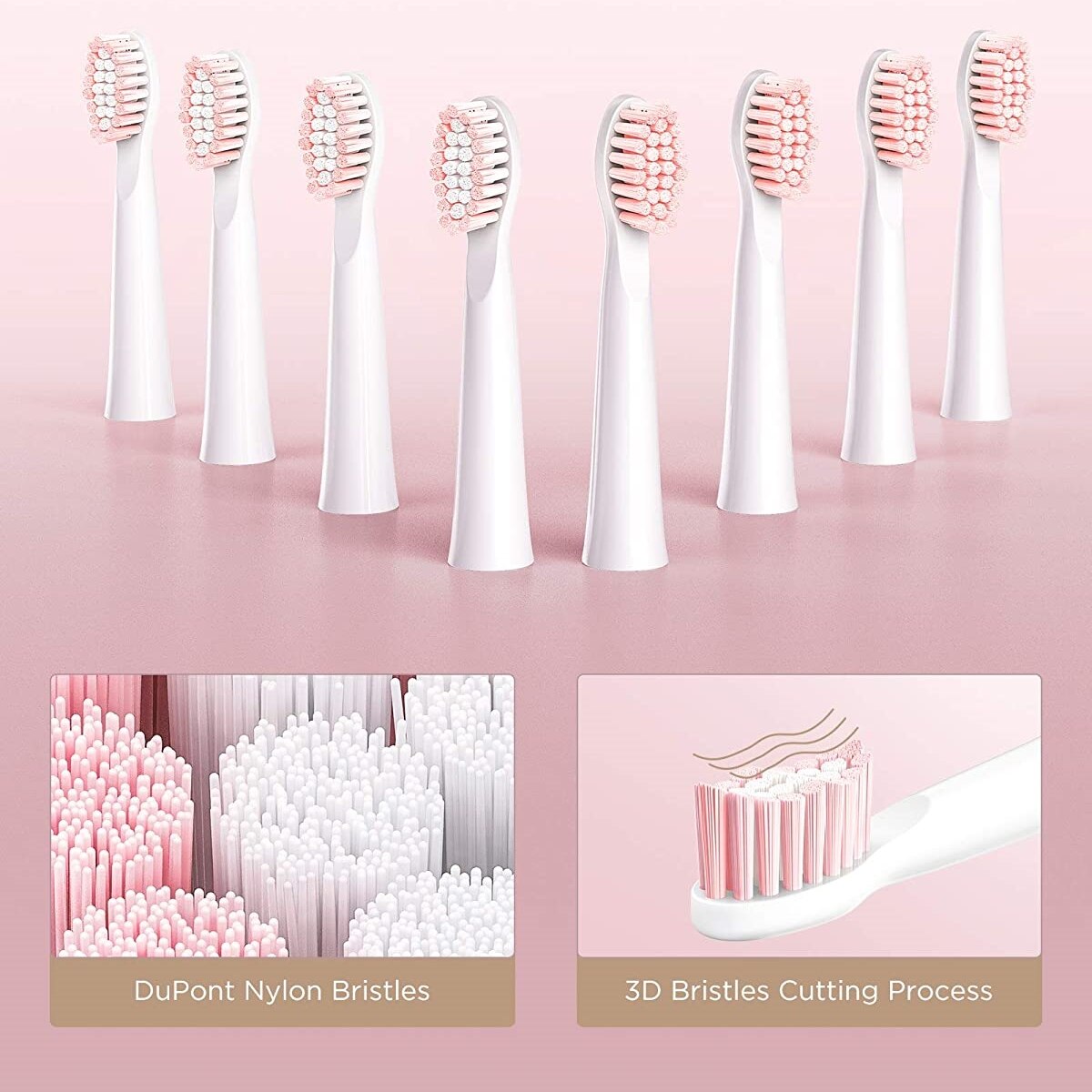 Fairywill E11 Sonic Electric Toothbrush 8 Brush Replacement Heads Waterproof USB Charge Rechargeable Electric Toothbrush Adult