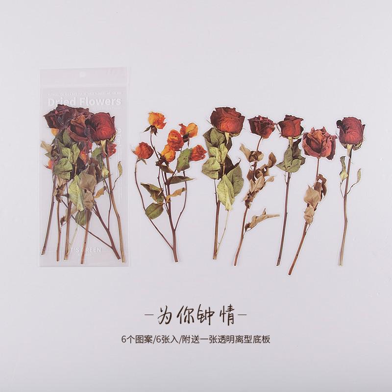 6 Sheets Leaves Flowers Stickers Big Size Deco Stickers For Planner Journal Scrapbooking Diary Diy: F