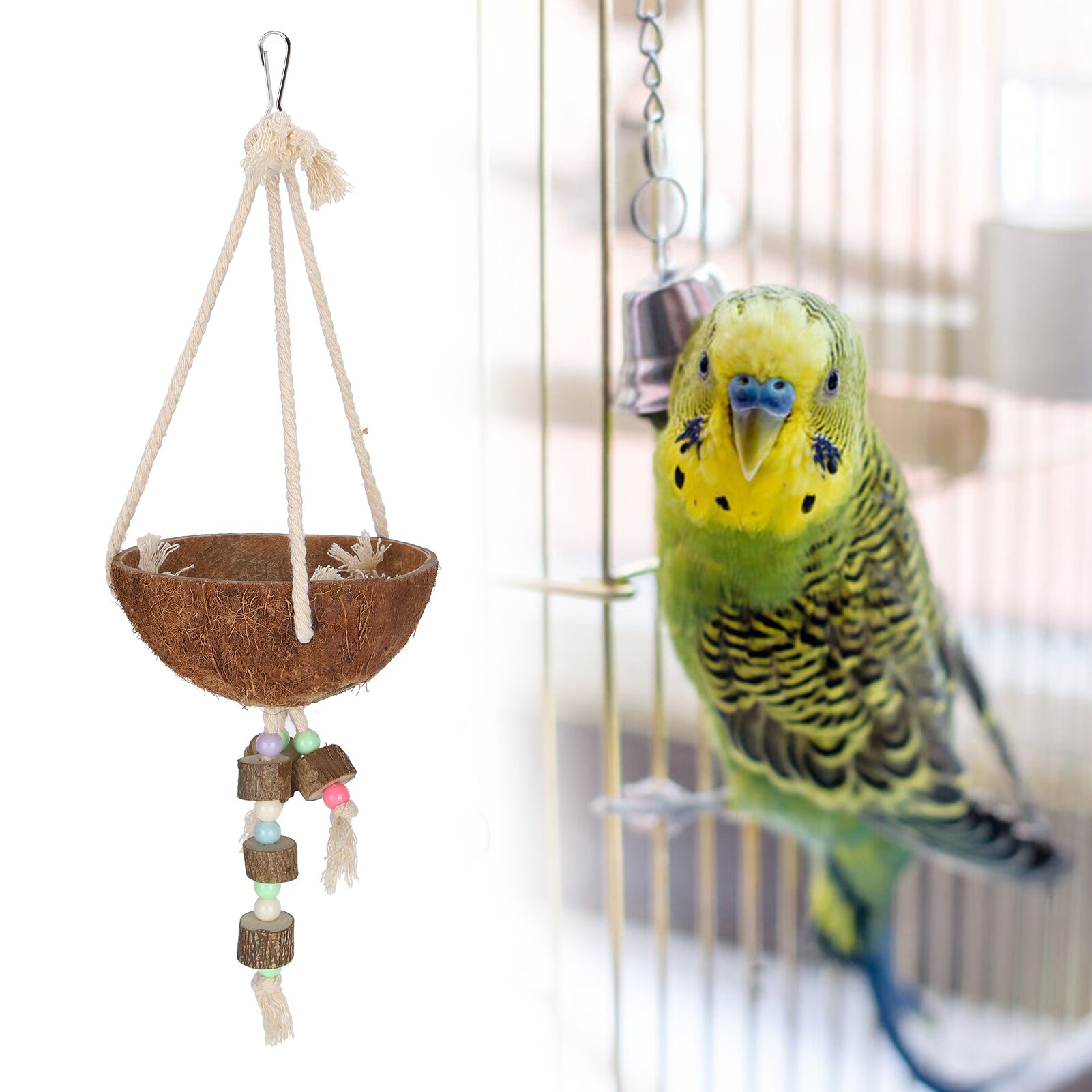 Image showcasing Coconut Shell Parrot Coconut Shell Swing Hanging C... – Grandado