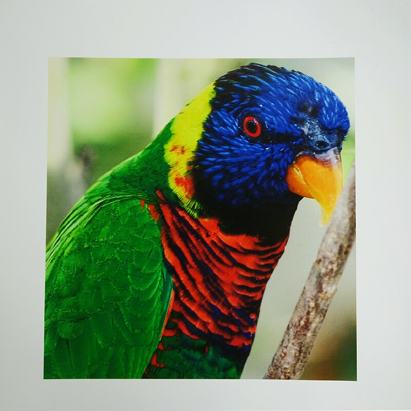 RC fotopapier 4R (4x6') 230g 240g Glossy Premium fotopapier 102x152mm 100 sheets/pack