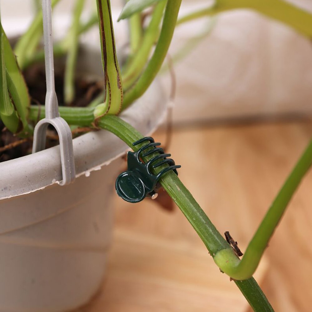 100 stk haveplante klips plast støtte orkidé stilk klip til vin grøntsager blomst bundet bundt gren fastspænding haveværktøj