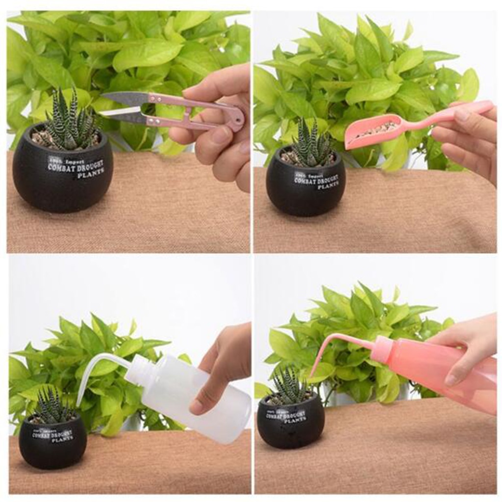 1 Set Mini Garden Transplanting Kits Gardening Hand Tools for Succulent Bonsai