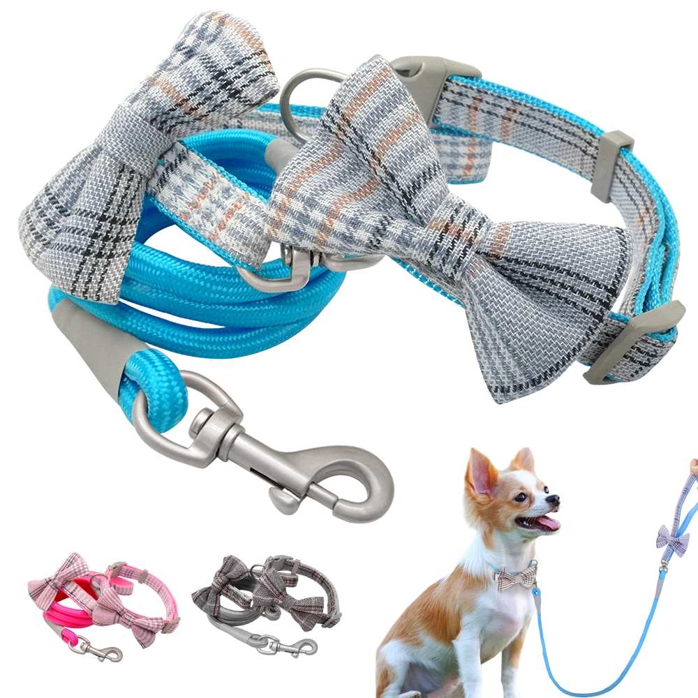 Hundehalsband und Leinen einstellen - Gre S/M - ...  Grandado