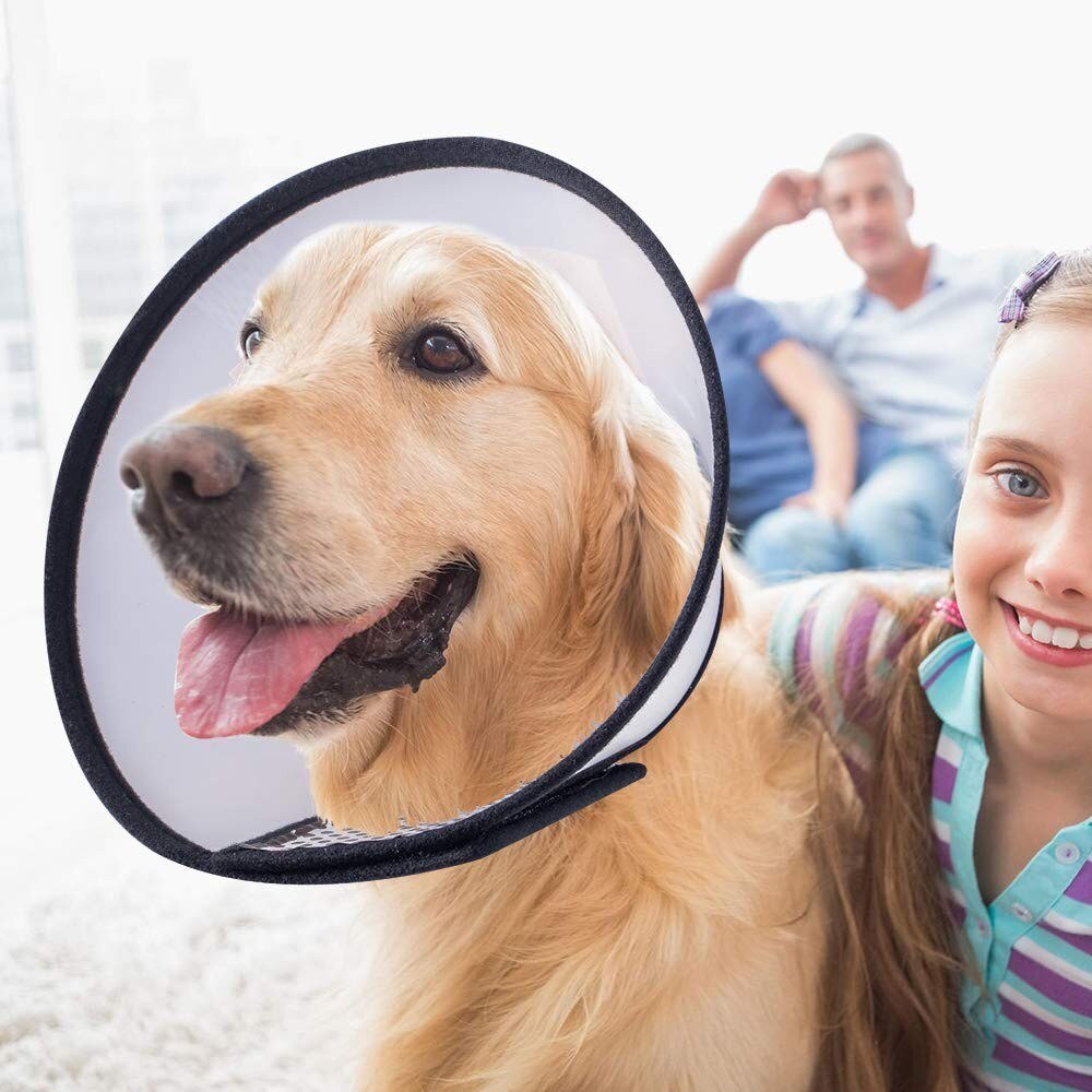 Pet Dog recovery collar cone electronic collar remedy adjustable protection collar anti-bite anti-lick