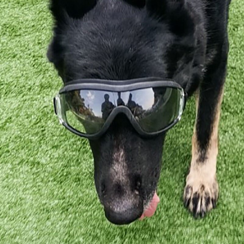 Mittel groß Hund Haustier Gläser Haustier Brillen Wasserdicht Hund Schutz Brille UV Sonnenbrille Wasserdicht Haustier Hund Brille