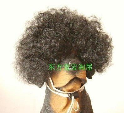 Tangpan korte krul afro stijl pet kat hond pruik-zwart