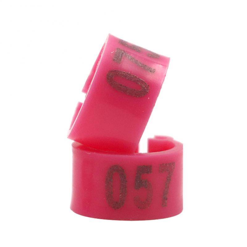 100 Stuks Vogels Voeten Ring Plastic Clip Ringen voor Vogels Duif Kwartel Voetring Boerderij Dier Carrier Duif Accessoires Vogel benodigdheden: Licht Geel