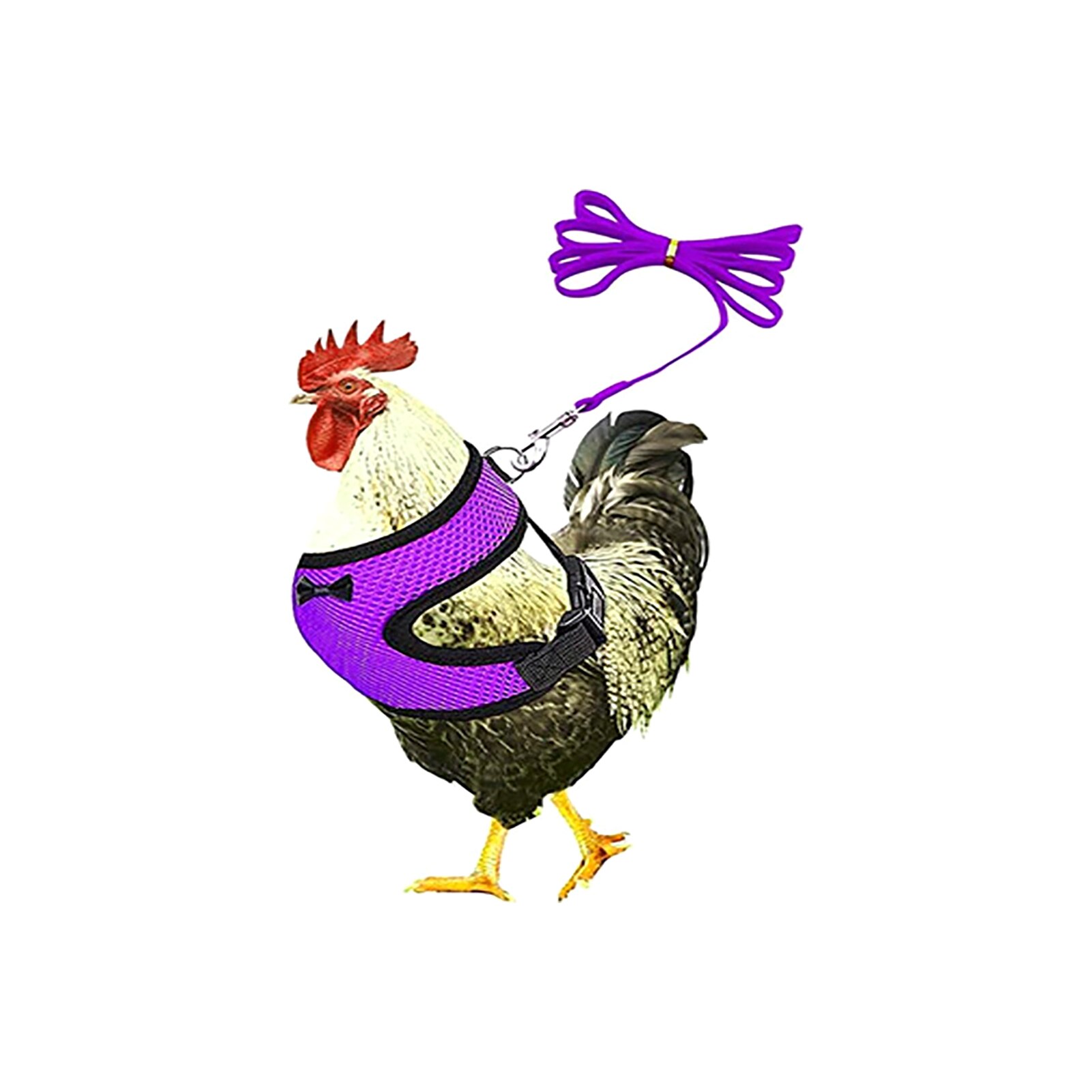 Pettorina per pollo da allenamento per ciotole forniture per pollame cinturino regolabile elastico con guinzaglio a passeggio all'aperto la moda maglia galline gilet per animali domestici