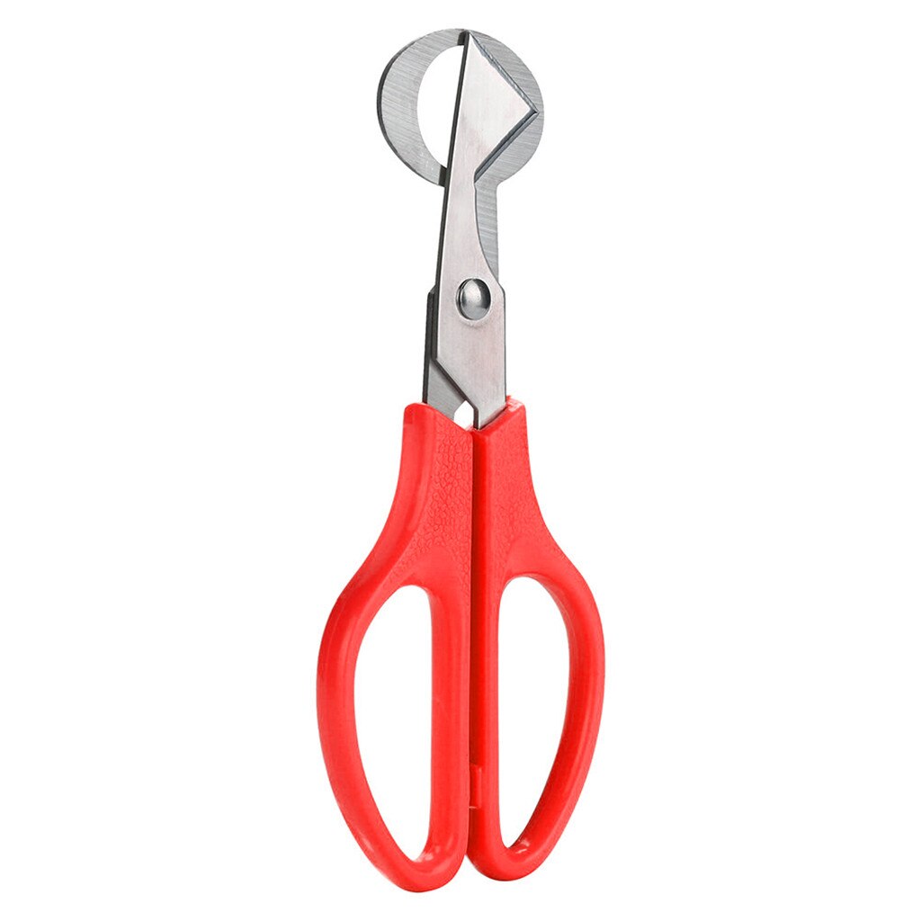 Ciseaux à œufs De Caille En Acier Inoxydable - Ouvre-œufs Pratique Pour Cuisine - Design Ergonomique - Coupe Nette Et Facile - 4