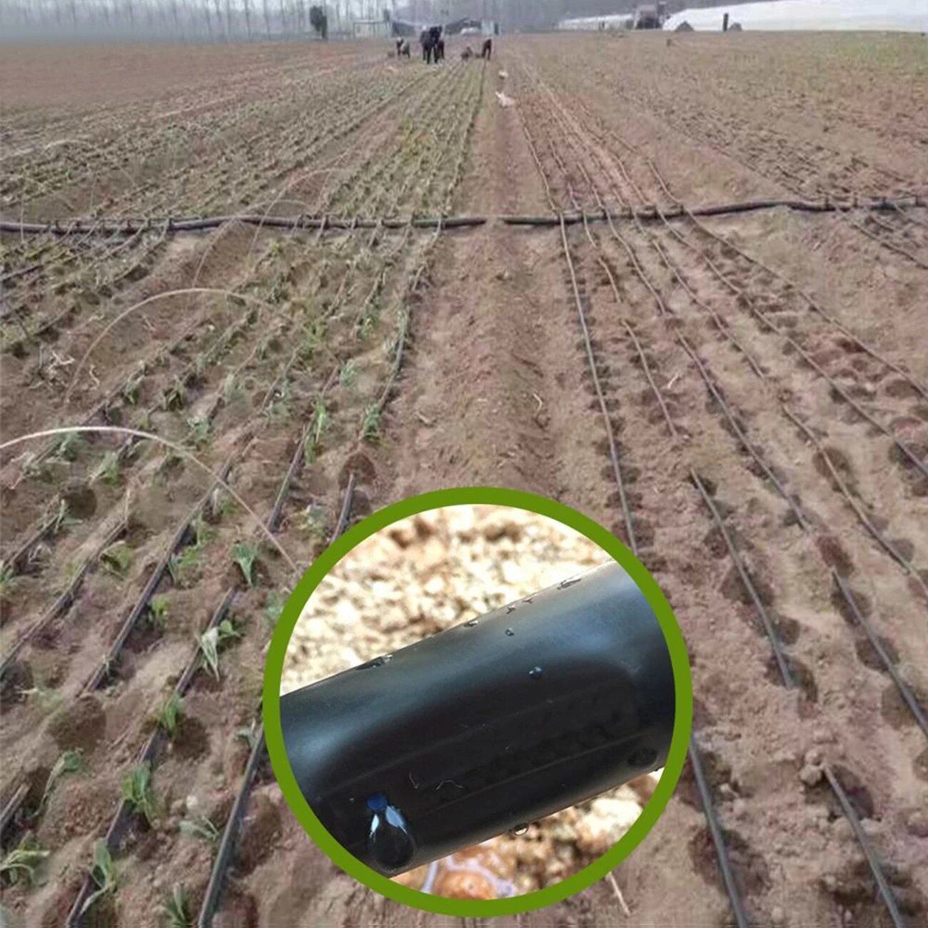 Ruban d'égouttement d'irrigation pour serre et jardin, 20-150m, 16mm, 8mil, 0.2mm, épaisseur 20cm, espacement de l'émetteur et du goutteur, 5/8 en effet, connecteur de tuyau