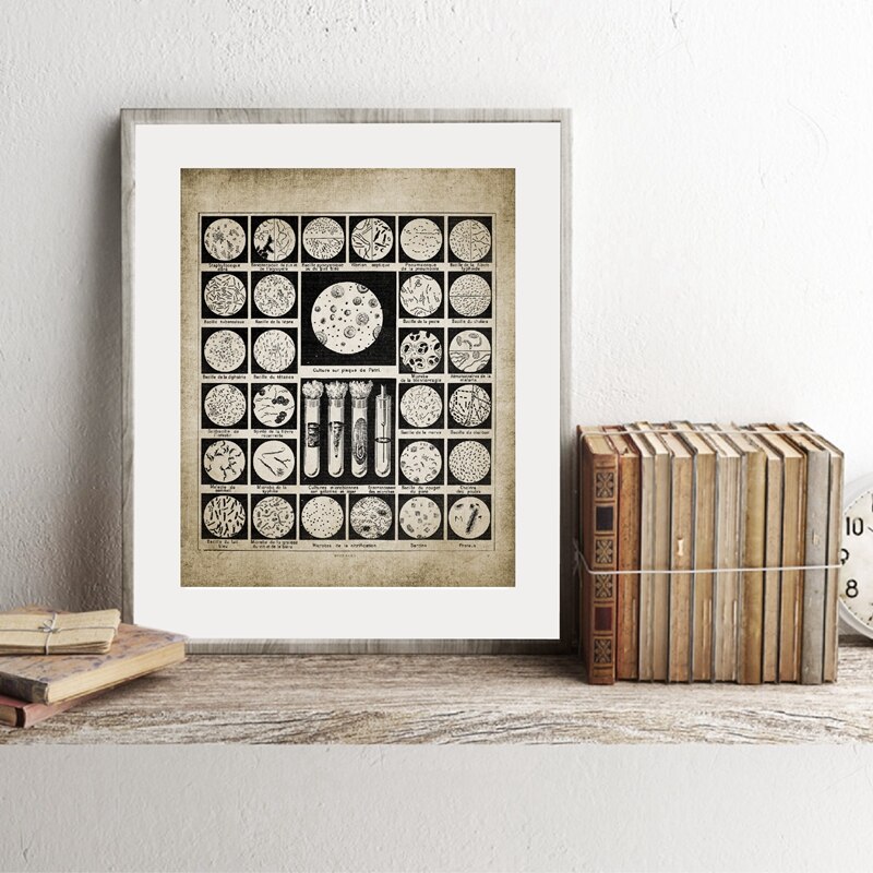 Bacteriën Prints Microben Poster Bacteriën Biologie Science Student Science Laboratorium Decor Poster Kraftpapier
