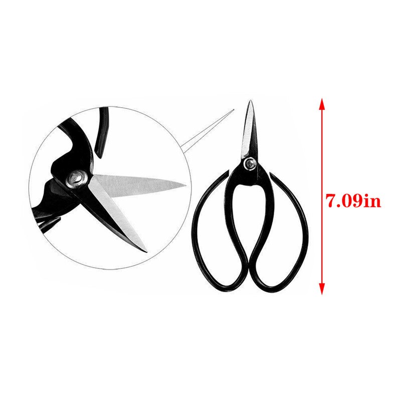 TTLIFE 5PCS Set Bonsai Tool Kit Basic Care Set Root Rake Shear Root Pick Moss Brush Stiff Bamboo Brush with Bag Garden Supplies