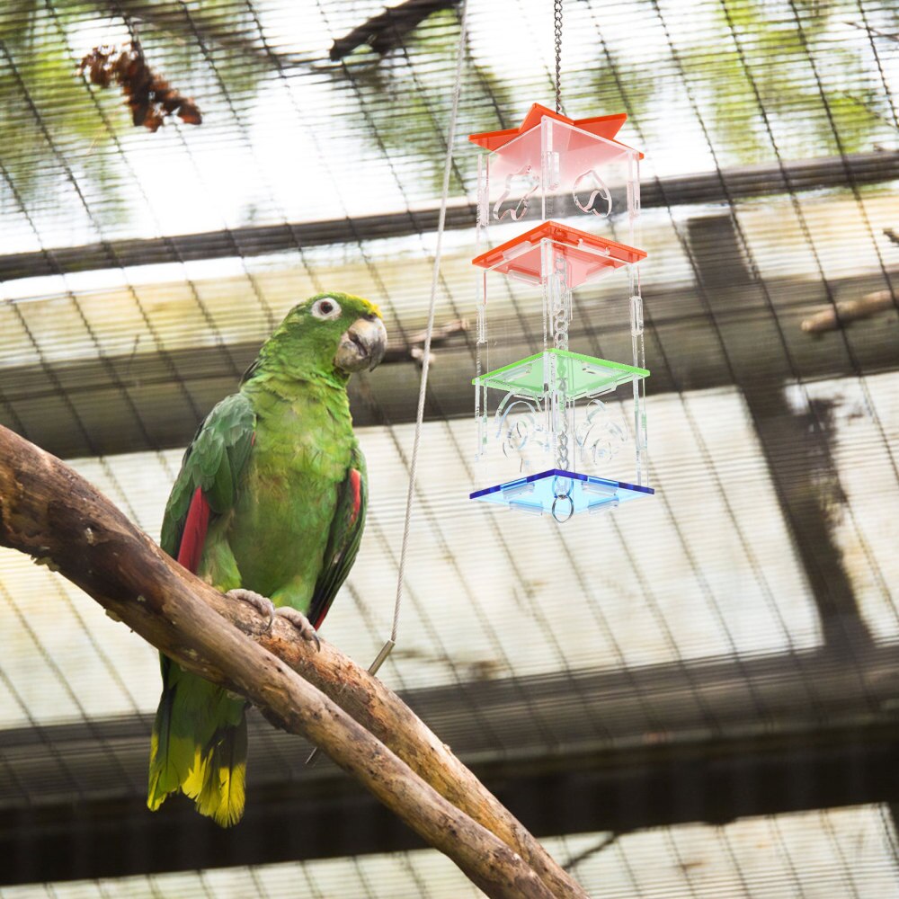 Parrot Acrylic Feeder Feeding Box Parrot Bird Feeder Hanging Foraging