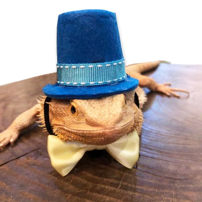 Arnés de Dragón Barbudo y correa de 2 colores, sombrero de mago, pajarita, correa ajustable de cuero para reptiles con ala para Animal PEQUEÑO