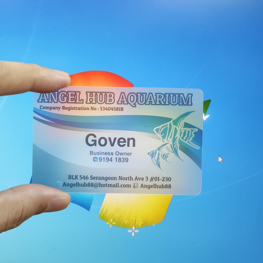Transparent PVC business card, free , , waterproof, color printing, 0.38mm, rounded