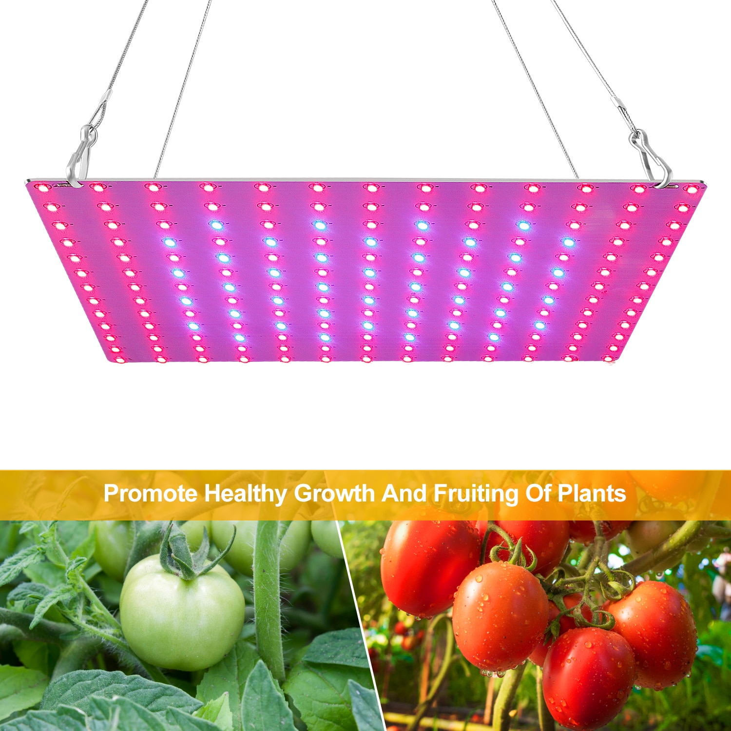 Fito-Fito de espectro completo de 220V, luz LED para cultivo de plantas, 200W, para semilleros, tablero cuántico, lámparas de 300W, caja de tienda de cultivo hidropónico