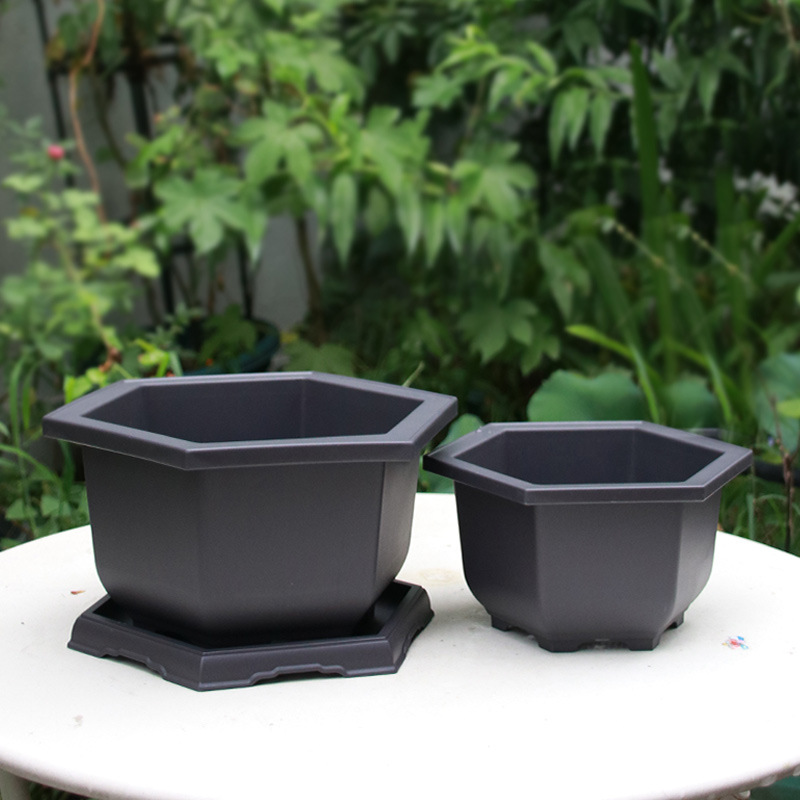 Pot de fleurs Hexagonal en plastique, Imitation sable violet, pour la maison, le jardin, pépinière
