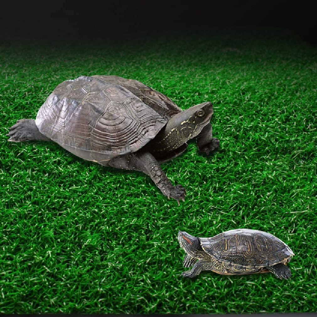 Turtle Basking Platform Suction Cup Tortoise Climbing Ladder Fish Tanks Decor Simulate Lawns Glass Aquarium Bask Ladder