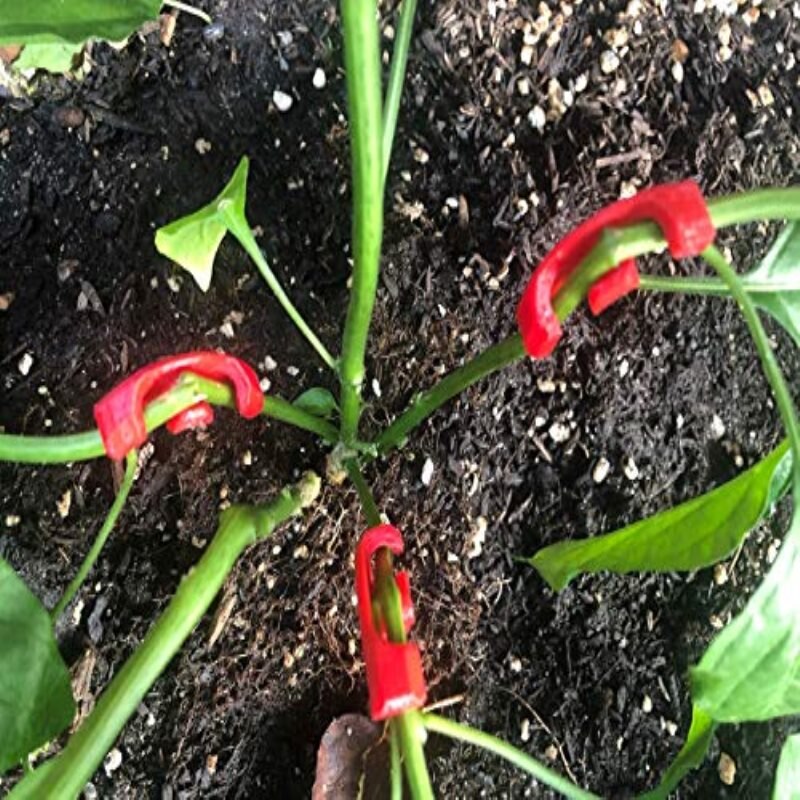 Cintreuse de plantes à 90 degrés (Pack de 35), pour l'entraînement à faible Stress (LST) et l'entraînement des plantes