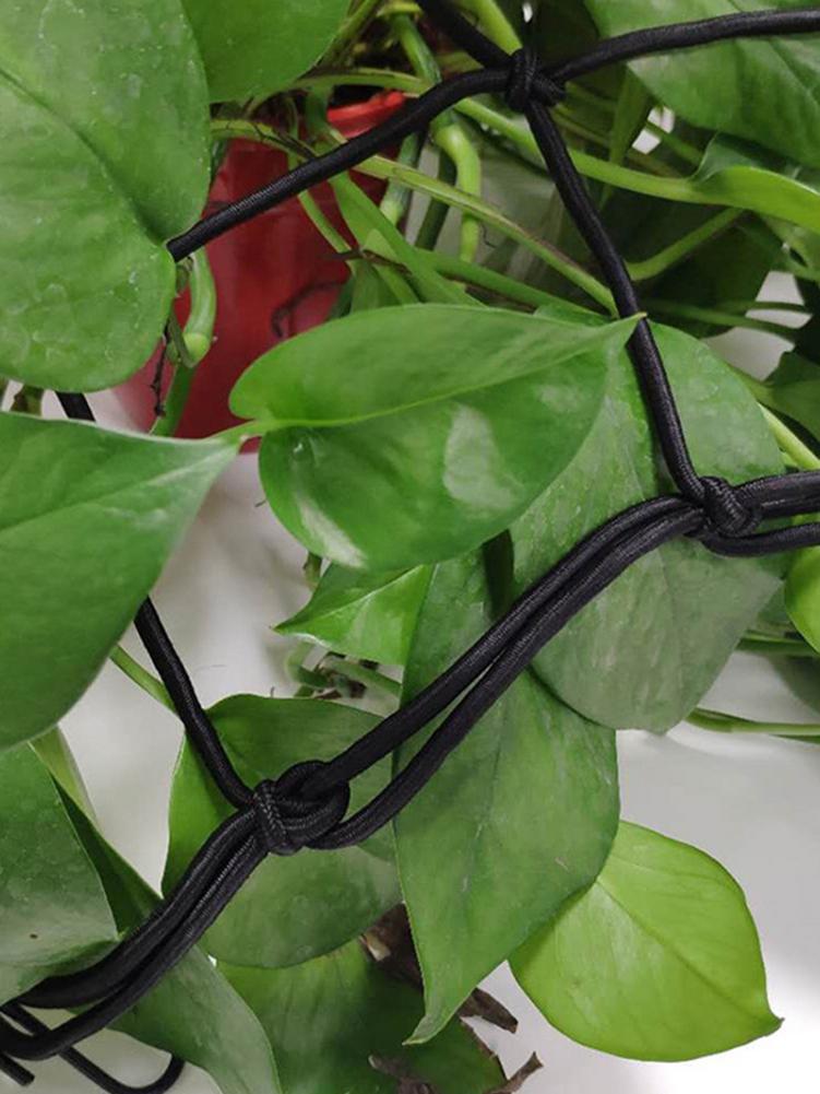 Multi Sizes Plant Trellis Netting Flexible Grow Tent Net Garden Fence Gardening Built Net Good Flexibility For Plant Growing