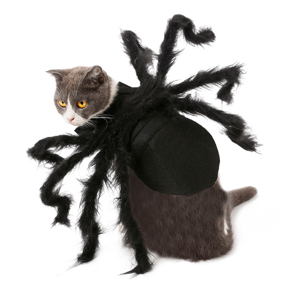Sjove hundetøj kravlende edderkop kostume halloween cosplay dragt til små hunde hvalpekatte fest tøj kæledyr tøj s / m