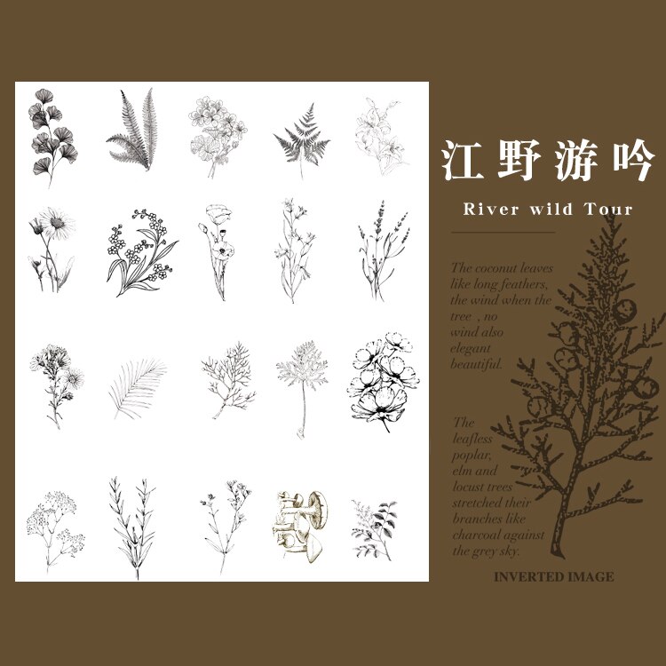 40Pcs Natuur Fotoboek Huisdier Grote Deco Stickers Plant Bloem Blad Transparante Kogel Journaling Accessoires Esthetische Stickers: H