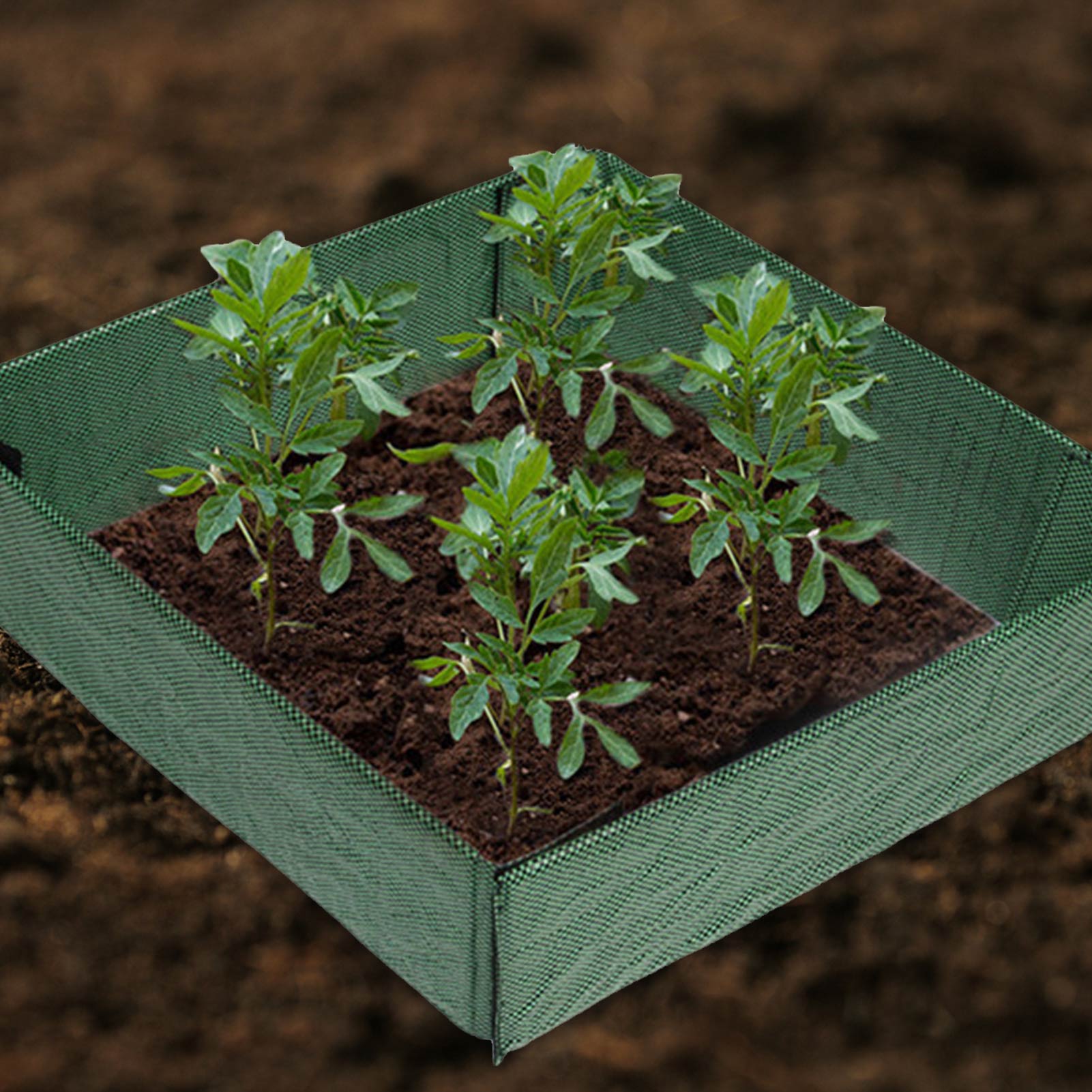 Decorative Garden Fence Detachable Plastic Vegetable Farm Barrier Family Garden Garden Planting Fence Outdoor Garden Supplies