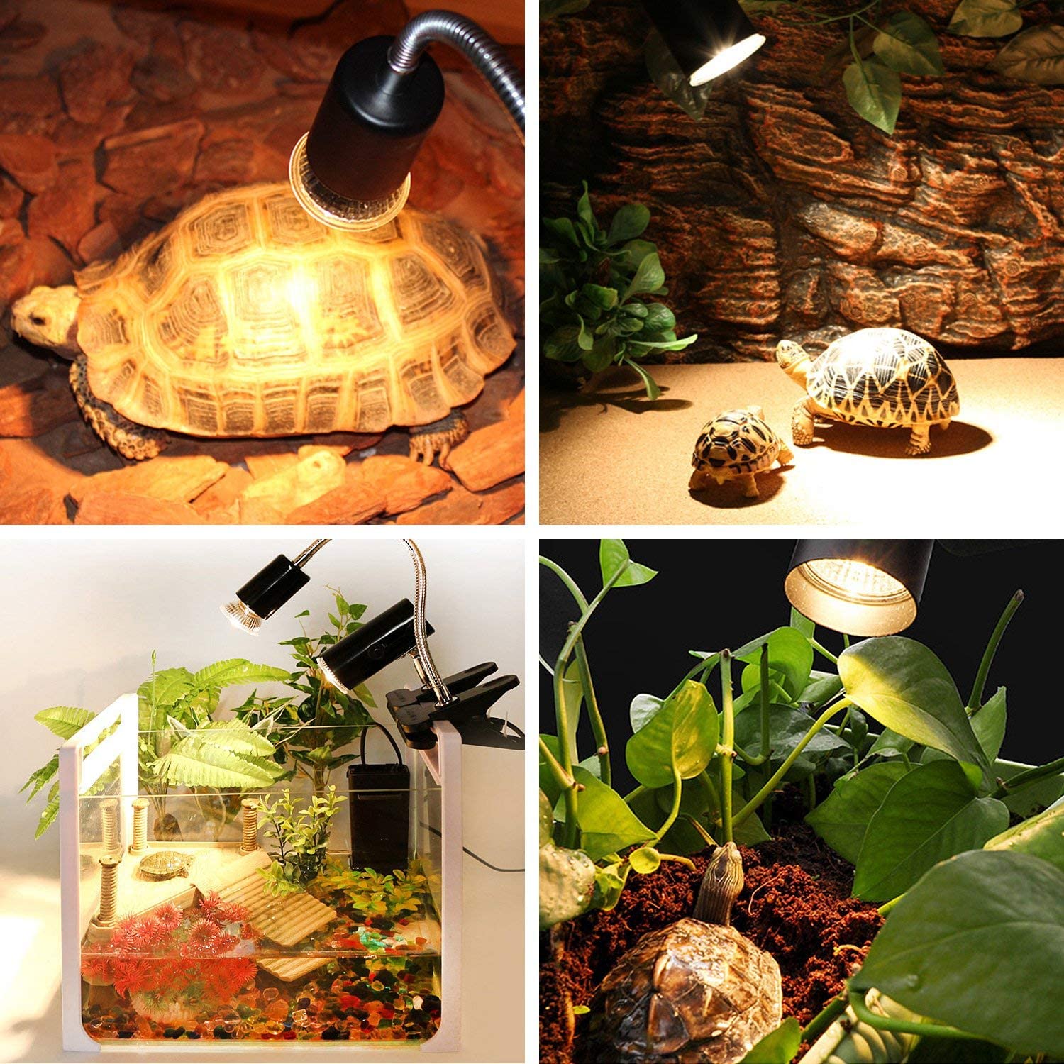 Lámpara para reptiles de 25/50W UVA + UVB 3,0, Bombilla de calor para mascotas, Bombilla UV para tortugas, anfibios, lagartos, controlador de temperatura