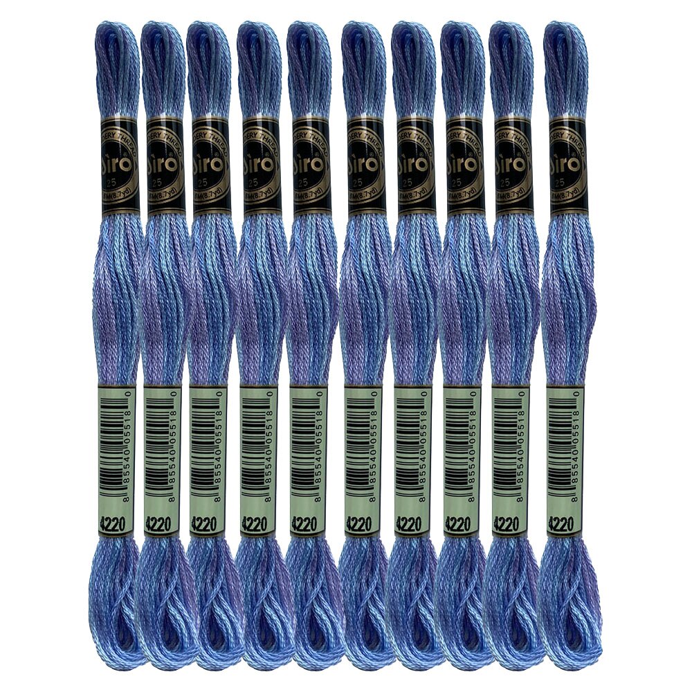 Color Variations Embroidery Floss Pack Variegated Cross Stitch Thread Bonfire Gold Arctic Sea Blue Rose Petals Purple, 8.7 Yard: Northern Lights x10