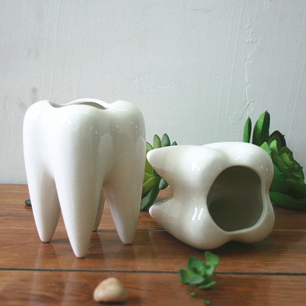 White Ceramic Fleshy Small Flowerpot Tooth Shape Table Plant Pot Home Decoration Tooth-Shaped Desktop Ceramic Flower Pot