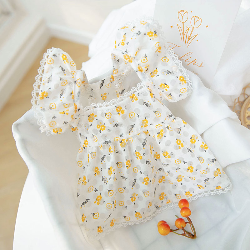 Robe de princesse pour chien, vêtements d'été mignons pour chien, jupe en dentelle pour chat, vêtements pour animaux de compagnie, Chihuahua Bichon, gilet pour chat, chiot, chemise pour filles