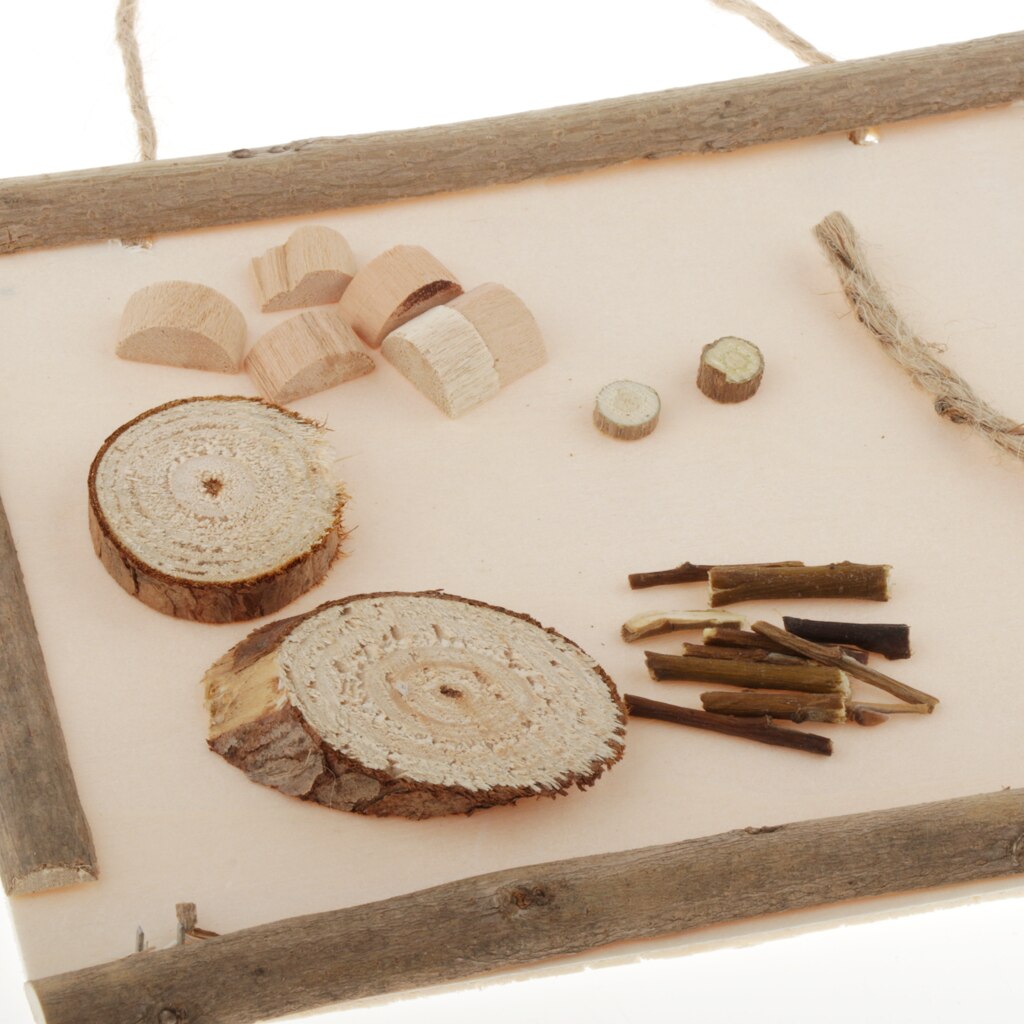 Natural Funny DIY Kit For Decorative Handcrafts Crafts Home Decorations