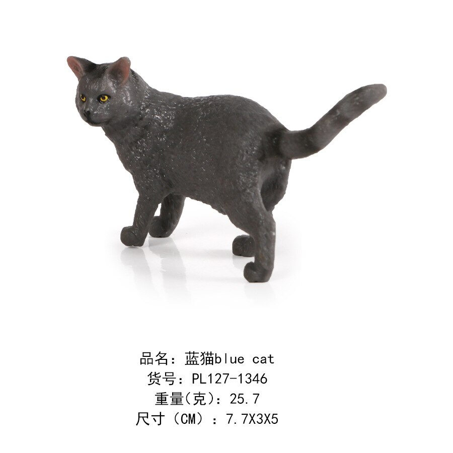 Børn model fast kæledyr kat model gul kat persisk sort og hvid killing statisk dyremodel legetøjsdekoration: 1346