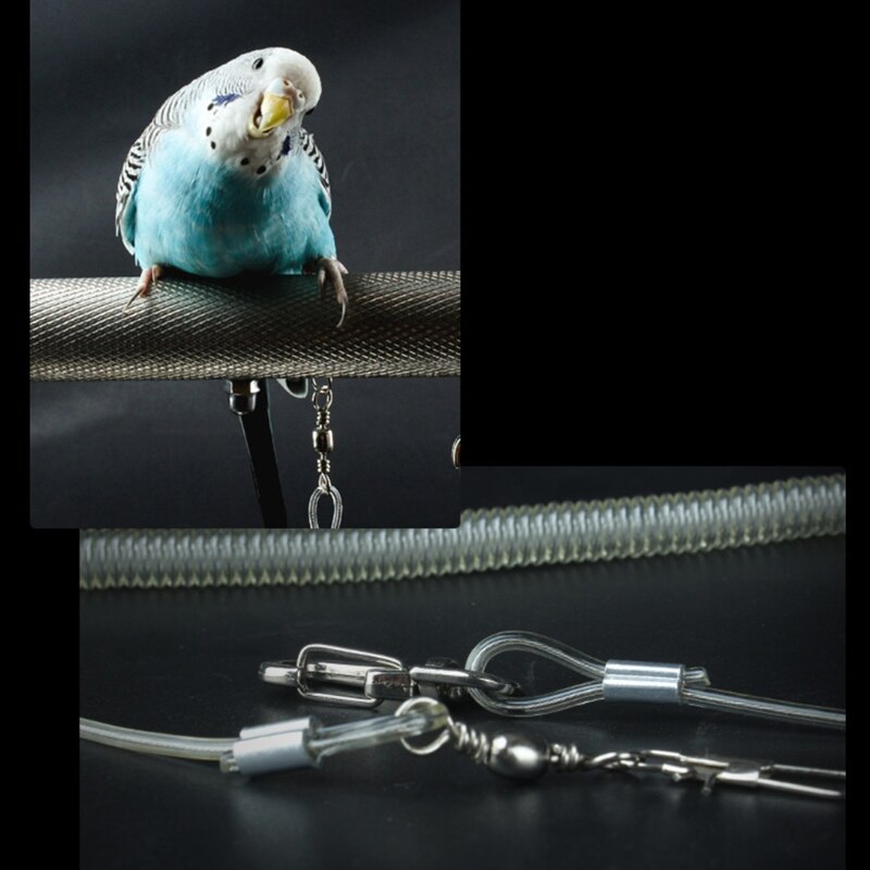 6m Flexible Parrot Bird Harness Leash with Leg Ring Anti-bite Outdoor Flying Training Rope for Birds Parakeet Cockatoo Cockatiel