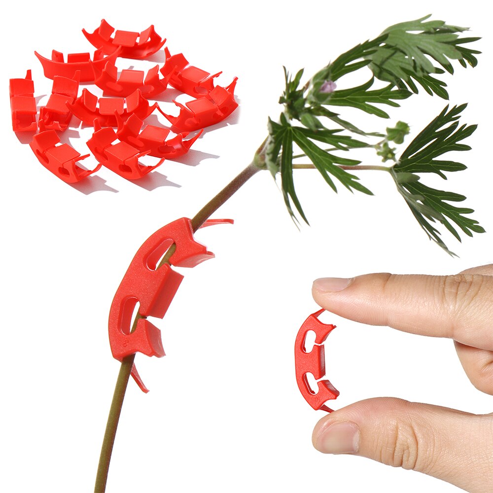 100 pces planta videira mudas enxertadas grampos de retenção de 90 graus planta bender para flor tomate ramos de frutas transplante apoio