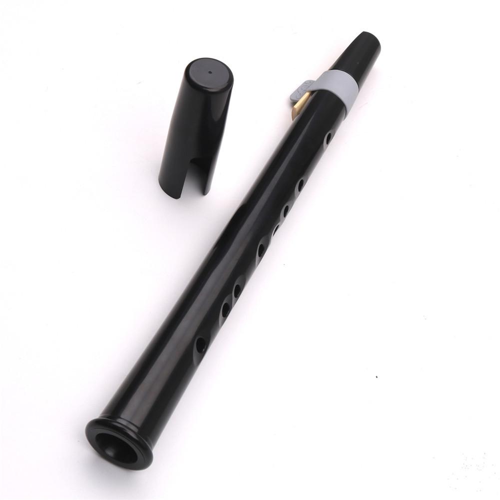 Sax de poche Mini Saxophone Simple 8 trous avec Instruments professionnels Reed pour Amateurs et débutants