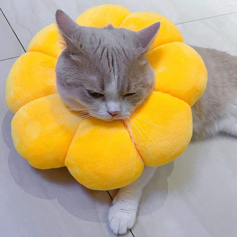 Huisdier Beschermende Kraag Voorkomt Krassen En Likken Verstelbare Pet Herstel Kraag Niet Blok Vision Kraag