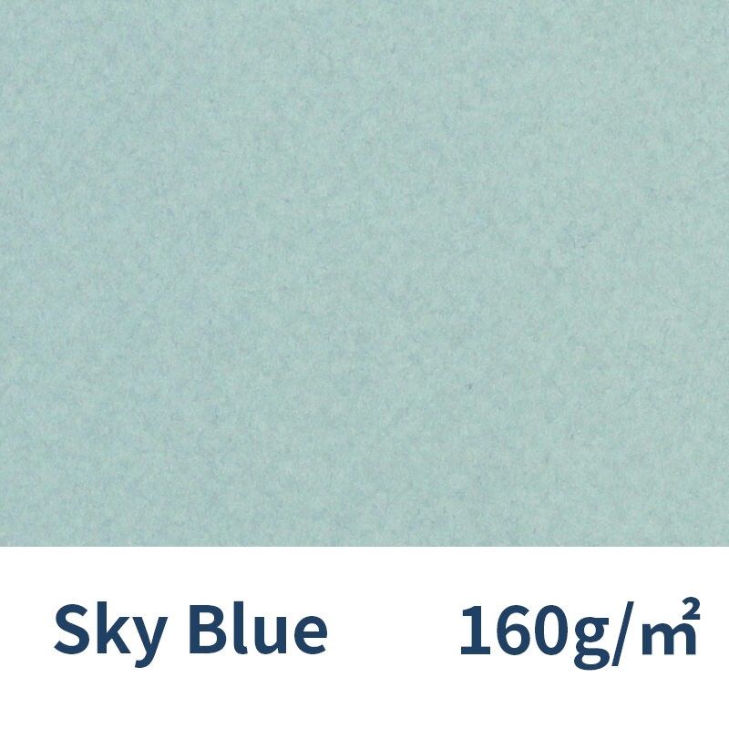 France Canson Soft Pastel Paper 4K Mi-Teintes 12Pcs Oil Pastels Painting Paper Chalk Crayon Sketch Color Pencils: 354