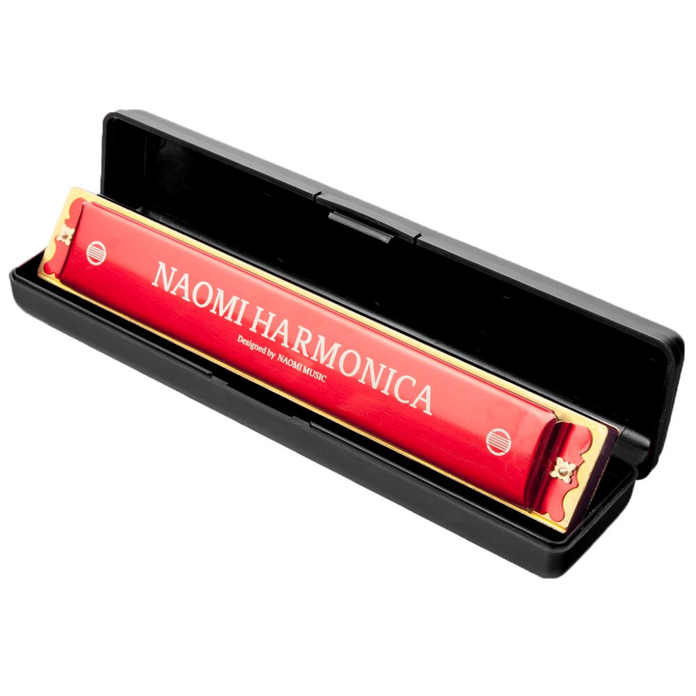 24 Holes Tremolo Harmonica Sleutel Van C Rvs Mondharmonica Mondharmonica Met Case Wind Instrument Rood