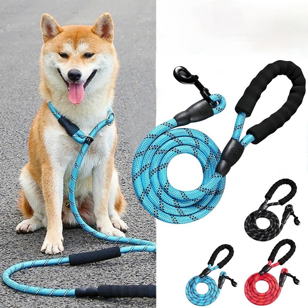 Laisse pour chien en Nylon, corde ronde d'escalade réfléchissante, Durable, 1.5M, petit et moyen gabarit, avec poignée confortable