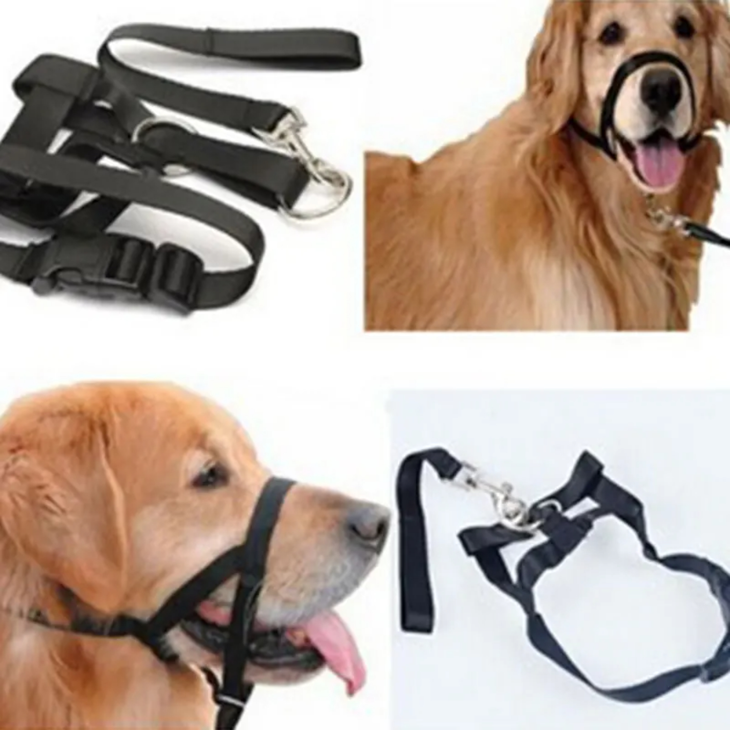 Correas ajustables sólidas para morder, cinturón líder, correa de entrenamiento, Collar líder, Collar para perro, bozal, Halter para perro, arnés suave
