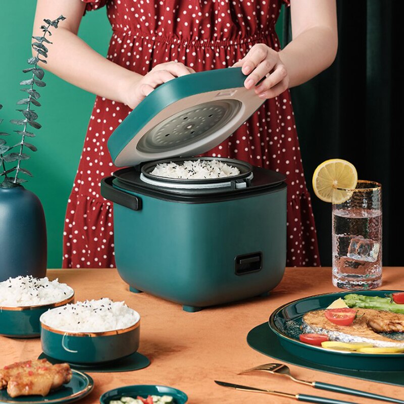 220v elektrisk ris komfur bærbar madlavning madvarmer reis kocher opvarmning måltid damper isolering madpakke olla arrocera