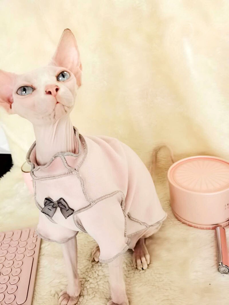Spring Autumn Wearing Cat Apparel kitten Jumper Hairless Cat Outfits Cat Coat Kitty Cute Cat Clothing Sphynx cat Clothes