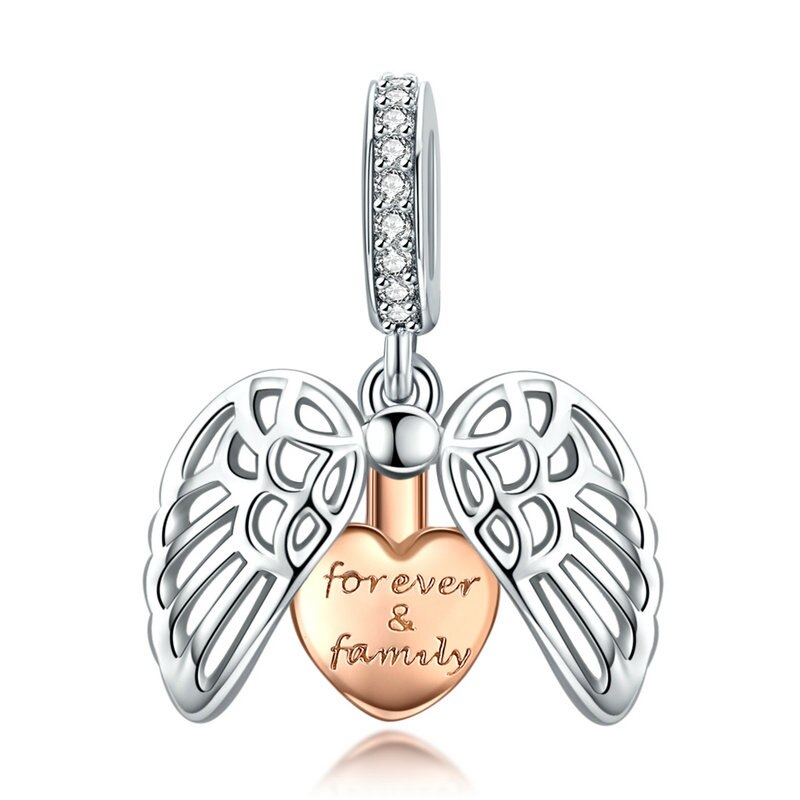 BISAER-caja de amor de Plata de Ley 925, jaula circular de corazón de amor para siempre, cuentas colgantes se ajusta a pulsera de dijes, joyería de plata 925: ECC1299