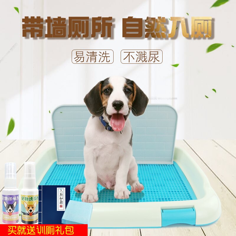 Bærbar kattehundekat toiletbakke med søjle urinal skål tisse træning toilet