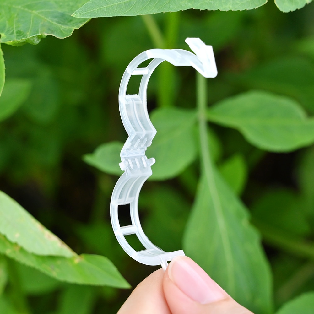 50/100pcs Reusable Plastic Plant Support Clips Plants Hanging Vine Clip Garden Greenhouse Fork Vegetable Tomatoes Clips Supplies
