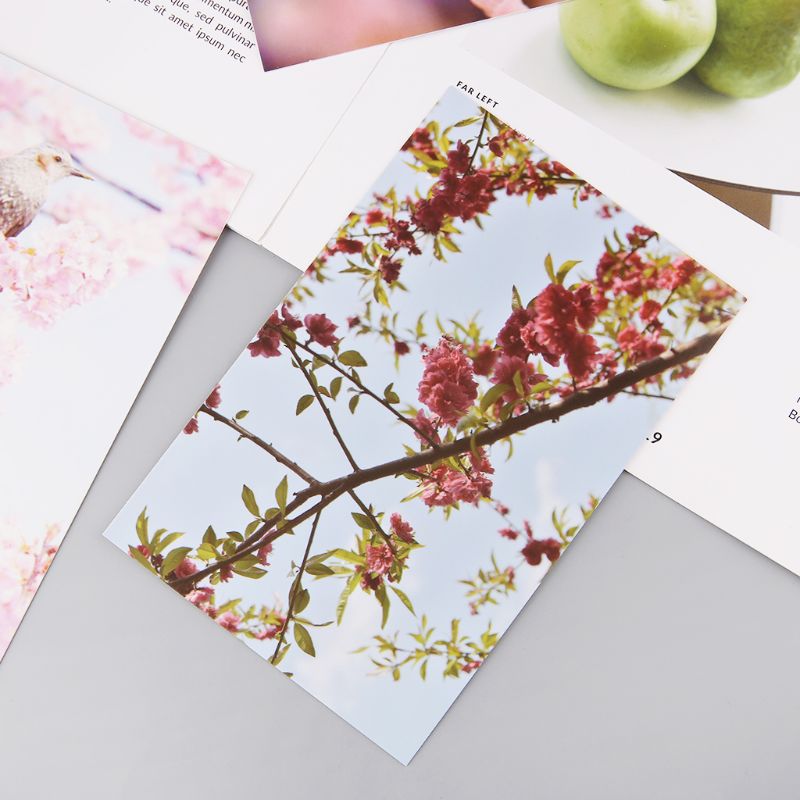 30 Sheets Peach Blossom Paintings Retro Vintage Postcard Christmas Year Card Wish Poster Cards C26