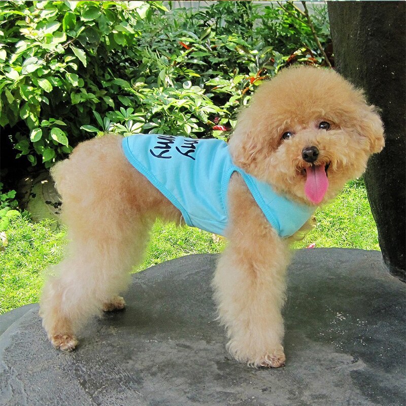 Cheap Dog Clothes For Small Dogs Summer Clothes Cute Pet Clothes For Small Dogs Cats Puppy Dog Clothing Summer Dogs Accessories